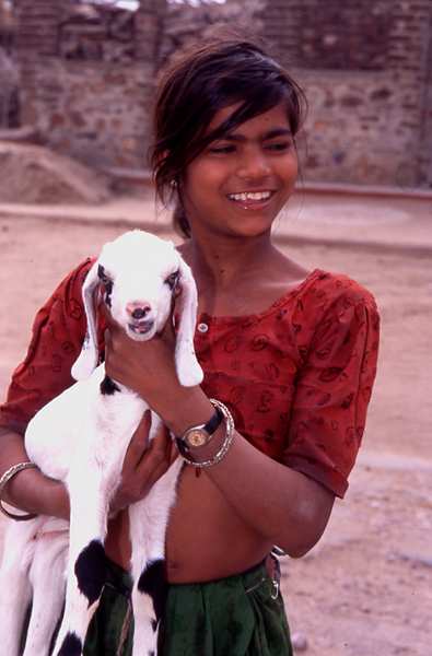 India-young-girl-with-goat-Rajasthan